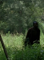 twd0604-2542.jpg