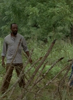 twd0604-3372.jpg