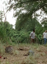 twd0604-3379.jpg