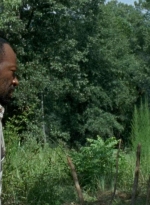 twd0604-3677.jpg