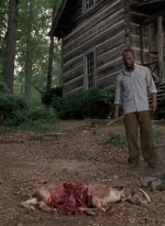 twd0604-3989.jpg