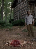 twd0604-3992.jpg