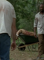 twd0604-4021.jpg