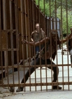 twd0605-0181.jpg