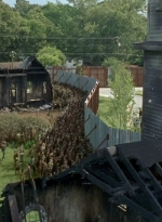 twd0605-0229.jpg