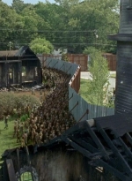 twd0605-0231.jpg