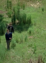 twd0605-1842.jpg