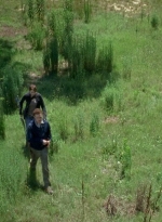 twd0605-1843.jpg