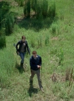 twd0605-1845.jpg