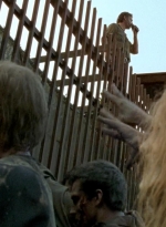 twd0605-2188.jpg