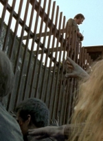 twd0605-2196.jpg