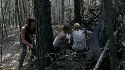 twd0606-2009.jpg