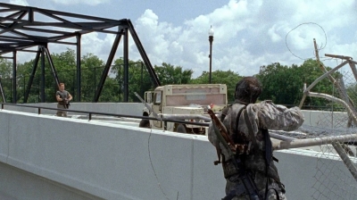 twd0606-2290.jpg