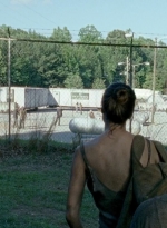 twd0606-0949.jpg