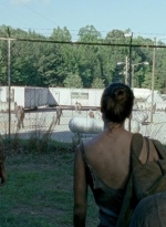 twd0606-0950.jpg