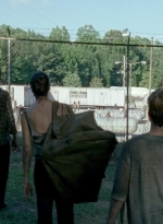 twd0606-0955.jpg