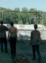 twd0606-0961.jpg