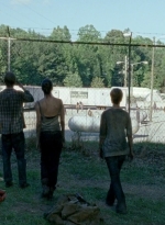 twd0606-0962.jpg