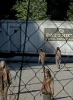 twd0606-0980.jpg