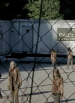 twd0606-0981.jpg