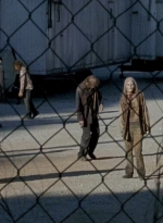 twd0606-0986.jpg