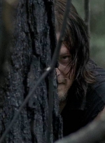 twd0606-2112.jpg