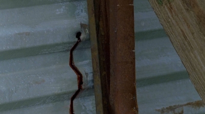 twd0607-2167.jpg