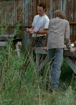 twd0607-0892.jpg