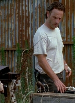 twd0607-1002.jpg