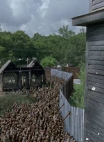 twd0607-1448.jpg