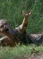 twd0607-2042.jpg