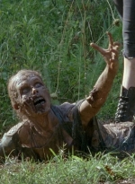 twd0607-2047.jpg