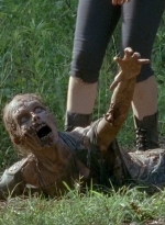 twd0607-2048.jpg