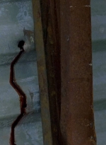 twd0607-2164.jpg
