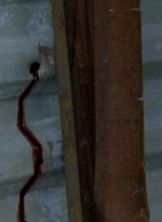 twd0607-2166.jpg