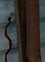 twd0607-2167.jpg