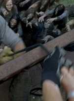 twd0607-2716.jpg