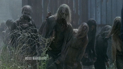 twd0608-0204.jpg