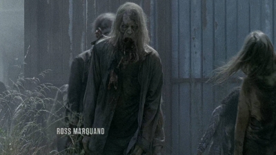 twd0608-0207.jpg