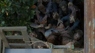 twd0608-0340.jpg