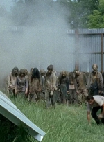 twd0608-0221.jpg