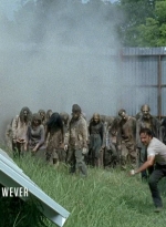 twd0608-0222.jpg