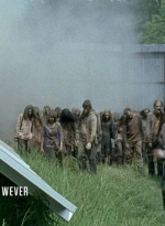 twd0608-0223.jpg