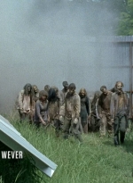 twd0608-0224.jpg