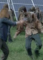 twd0608-0250.jpg