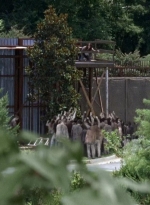 twd0608-3172.jpg