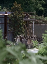 twd0608-3173.jpg