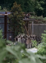 twd0608-3175.jpg