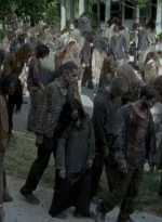 twd0608-3279.jpg