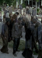 twd0608-3282.jpg